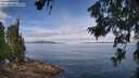 ./images/koeye/fitz-hugh/20260706/fitz-hugh20260706_112002M.jpg