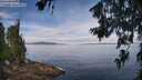./images/koeye/fitz-hugh/20260706/fitz-hugh20260706_113001M.jpg