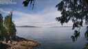 ./images/koeye/fitz-hugh/20260706/fitz-hugh20260706_114001M.jpg