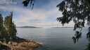 ./images/koeye/fitz-hugh/20260706/fitz-hugh20260706_115002M.jpg