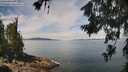 ./images/koeye/fitz-hugh/20260706/fitz-hugh20260706_120501M.jpg