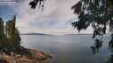 ./images/koeye/fitz-hugh/20260706/fitz-hugh20260706_122002M.jpg