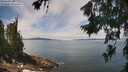 ./images/koeye/fitz-hugh/20260706/fitz-hugh20260706_122501M.jpg