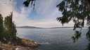 ./images/koeye/fitz-hugh/20260706/fitz-hugh20260706_125502M.jpg