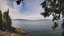 ./images/koeye/fitz-hugh/20260706/fitz-hugh20260706_130002M.jpg