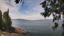 ./images/koeye/fitz-hugh/20260706/fitz-hugh20260706_130501M.jpg