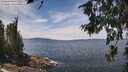 ./images/koeye/fitz-hugh/20260706/fitz-hugh20260706_132001M.jpg