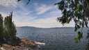./images/koeye/fitz-hugh/20260706/fitz-hugh20260706_132501M.jpg