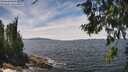 ./images/koeye/fitz-hugh/20260706/fitz-hugh20260706_135002M.jpg