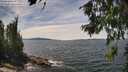 ./images/koeye/fitz-hugh/20260706/fitz-hugh20260706_141002M.jpg