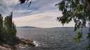 ./images/koeye/fitz-hugh/20260706/fitz-hugh20260706_142001M.jpg