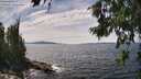 ./images/koeye/fitz-hugh/20260706/fitz-hugh20260706_143001M.jpg