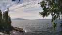 ./images/koeye/fitz-hugh/20260706/fitz-hugh20260706_143501M.jpg