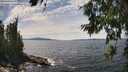 ./images/koeye/fitz-hugh/20260706/fitz-hugh20260706_144002M.jpg