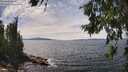 ./images/koeye/fitz-hugh/20260706/fitz-hugh20260706_144501M.jpg