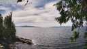 ./images/koeye/fitz-hugh/20260706/fitz-hugh20260706_151501M.jpg