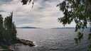 ./images/koeye/fitz-hugh/20260706/fitz-hugh20260706_152501M.jpg