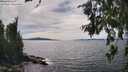 ./images/koeye/fitz-hugh/20260706/fitz-hugh20260706_153001M.jpg