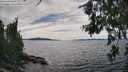 ./images/koeye/fitz-hugh/20260706/fitz-hugh20260706_154002M.jpg