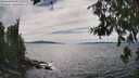 ./images/koeye/fitz-hugh/20260706/fitz-hugh20260706_155501M.jpg