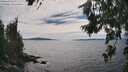 ./images/koeye/fitz-hugh/20260706/fitz-hugh20260706_161501M.jpg