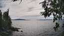 ./images/koeye/fitz-hugh/20260706/fitz-hugh20260706_162501M.jpg