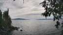 ./images/koeye/fitz-hugh/20260706/fitz-hugh20260706_163501M.jpg
