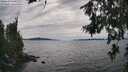 ./images/koeye/fitz-hugh/20260706/fitz-hugh20260706_165002M.jpg