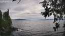 ./images/koeye/fitz-hugh/20260706/fitz-hugh20260706_171501M.jpg