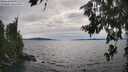 ./images/koeye/fitz-hugh/20260706/fitz-hugh20260706_172001M.jpg