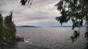 ./images/koeye/fitz-hugh/20260706/fitz-hugh20260706_174002M.jpg