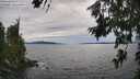 ./images/koeye/fitz-hugh/20260706/fitz-hugh20260706_174501M.jpg