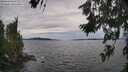 ./images/koeye/fitz-hugh/20260706/fitz-hugh20260706_175001M.jpg