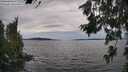./images/koeye/fitz-hugh/20260706/fitz-hugh20260706_175501M.jpg