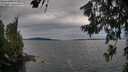 ./images/koeye/fitz-hugh/20260706/fitz-hugh20260706_191502M.jpg