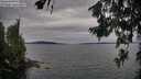 ./images/koeye/fitz-hugh/20260706/fitz-hugh20260706_193501M.jpg
