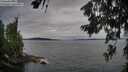 ./images/koeye/fitz-hugh/20260706/fitz-hugh20260706_205001M.jpg