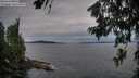 ./images/koeye/fitz-hugh/20260706/fitz-hugh20260706_211502M.jpg