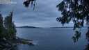 ./images/koeye/fitz-hugh/20260706/fitz-hugh20260706_214502M.jpg