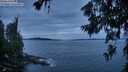 ./images/koeye/fitz-hugh/20260706/fitz-hugh20260706_215501M.jpg
