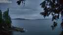 ./images/koeye/fitz-hugh/20260706/fitz-hugh20260706_221501M.jpg