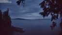 ./images/koeye/fitz-hugh/20260706/fitz-hugh20260706_223501M.jpg