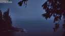 ./images/koeye/fitz-hugh/20260707/fitz-hugh20260707_044501M.jpg
