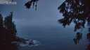 ./images/koeye/fitz-hugh/20260707/fitz-hugh20260707_045502M.jpg