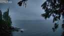 ./images/koeye/fitz-hugh/20260707/fitz-hugh20260707_051001M.jpg