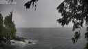 ./images/koeye/fitz-hugh/20260707/fitz-hugh20260707_063001M.jpg