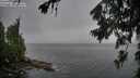 ./images/koeye/fitz-hugh/20260707/fitz-hugh20260707_085501M.jpg
