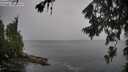 ./images/koeye/fitz-hugh/20260707/fitz-hugh20260707_090501M.jpg