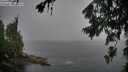 ./images/koeye/fitz-hugh/20260707/fitz-hugh20260707_092002M.jpg