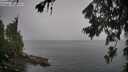 ./images/koeye/fitz-hugh/20260707/fitz-hugh20260707_093501M.jpg